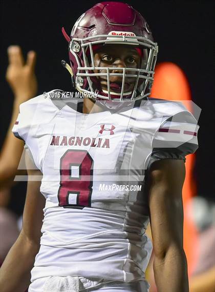 Thumbnail 3 in Magnolia vs Magnolia West photogallery.
