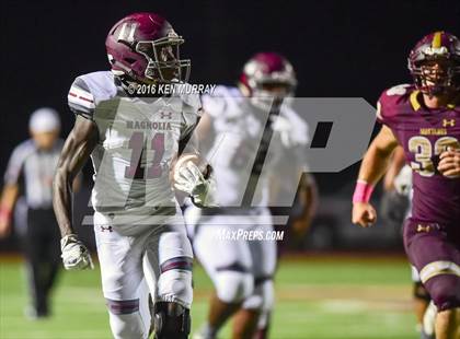 Thumbnail 1 in Magnolia vs Magnolia West photogallery.