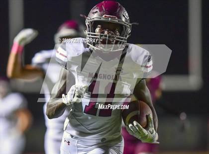 Thumbnail 1 in Magnolia vs Magnolia West photogallery.