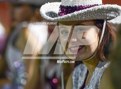 Thumbnail 3 in Magnolia vs Magnolia West photogallery.
