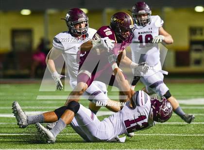 Thumbnail 1 in Magnolia vs Magnolia West photogallery.