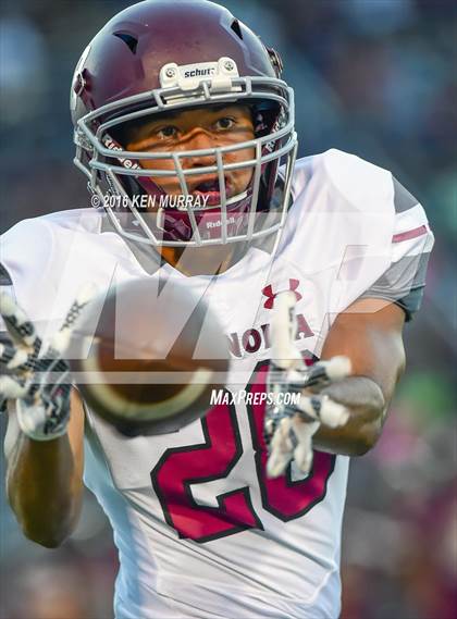 Thumbnail 3 in Magnolia vs Magnolia West photogallery.