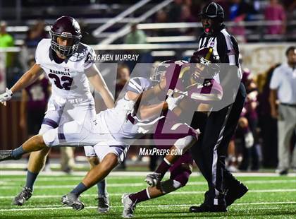 Thumbnail 1 in Magnolia vs Magnolia West photogallery.