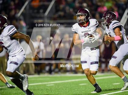 Thumbnail 1 in Magnolia vs Magnolia West photogallery.