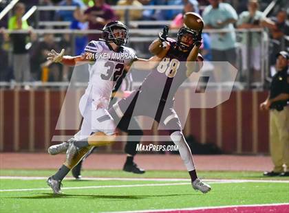 Thumbnail 3 in Magnolia vs Magnolia West photogallery.