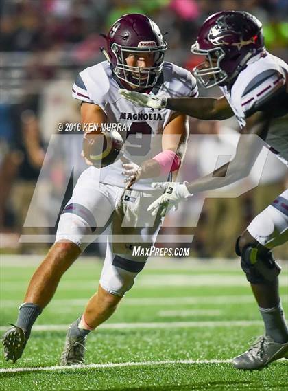 Thumbnail 3 in Magnolia vs Magnolia West photogallery.