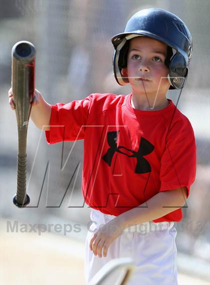 Thumbnail 1 in Dorsey @ Redlands East Valley photogallery.