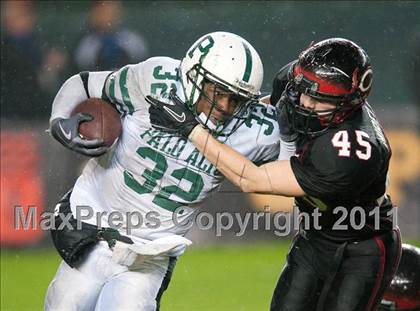 Thumbnail 1 in Palo Alto vs. Centennial (CIF State D1 Final) photogallery.
