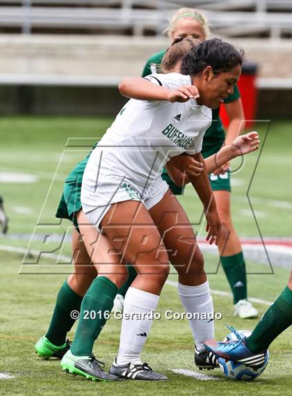 Thumbnail 3 in Rio Americano vs. Manteca (CIF SJS D3 Final) photogallery.