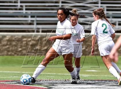 Thumbnail 1 in Rio Americano vs. Manteca (CIF SJS D3 Final) photogallery.