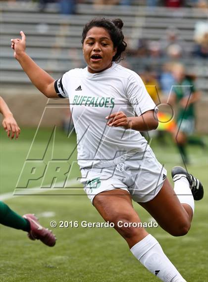 Thumbnail 1 in Rio Americano vs. Manteca (CIF SJS D3 Final) photogallery.