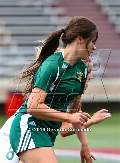 Thumbnail 3 in Rio Americano vs. Manteca (CIF SJS D3 Final) photogallery.