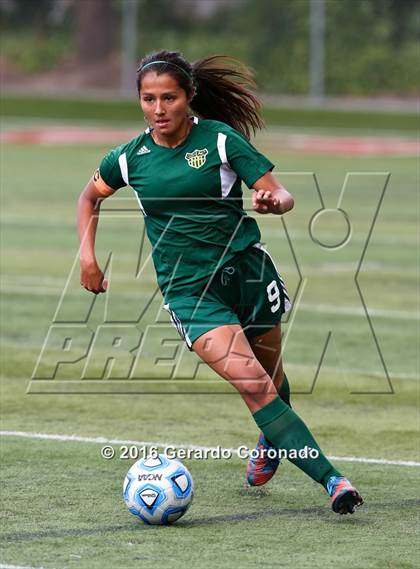 Thumbnail 3 in Rio Americano vs. Manteca (CIF SJS D3 Final) photogallery.