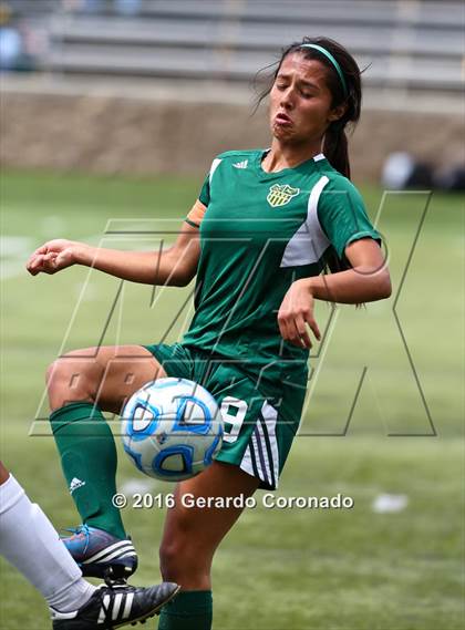 Thumbnail 3 in Rio Americano vs. Manteca (CIF SJS D3 Final) photogallery.