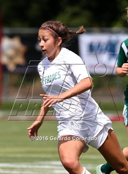 Thumbnail 1 in Rio Americano vs. Manteca (CIF SJS D3 Final) photogallery.