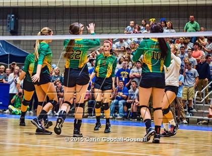 Thumbnail 1 in Princeton vs. Alleghany (NCHSAA 1A Final) photogallery.