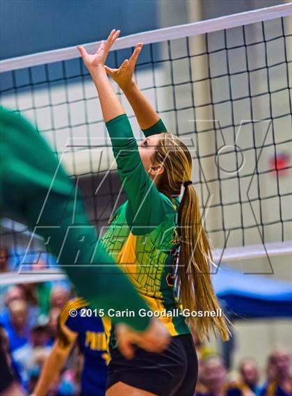 Thumbnail 3 in Princeton vs. Alleghany (NCHSAA 1A Final) photogallery.
