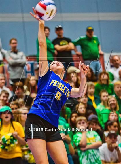 Thumbnail 1 in Princeton vs. Alleghany (NCHSAA 1A Final) photogallery.