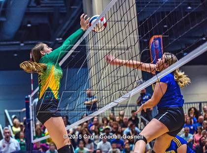 Thumbnail 3 in Princeton vs. Alleghany (NCHSAA 1A Final) photogallery.