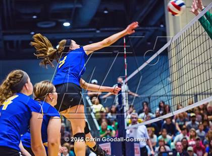 Thumbnail 2 in Princeton vs. Alleghany (NCHSAA 1A Final) photogallery.
