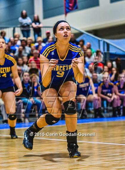 Thumbnail 3 in Princeton vs. Alleghany (NCHSAA 1A Final) photogallery.