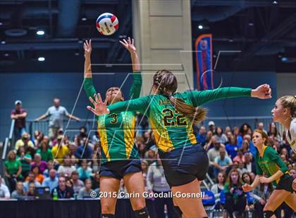 Thumbnail 2 in Princeton vs. Alleghany (NCHSAA 1A Final) photogallery.