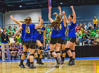 Thumbnail 3 in Princeton vs. Alleghany (NCHSAA 1A Final) photogallery.