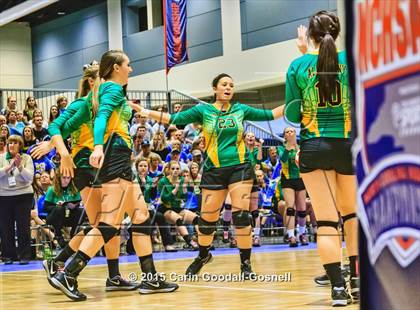 Thumbnail 3 in Princeton vs. Alleghany (NCHSAA 1A Final) photogallery.