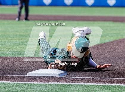 Thumbnail 1 in Holy Family vs. Falcon (CHSAA 4A Semifinal) photogallery.