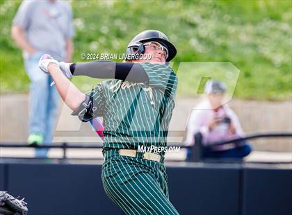 Thumbnail 3 in Holy Family vs. Falcon (CHSAA 4A Semifinal) photogallery.