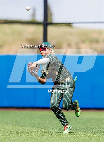 Thumbnail 1 in Holy Family vs. Falcon (CHSAA 4A Semifinal) photogallery.