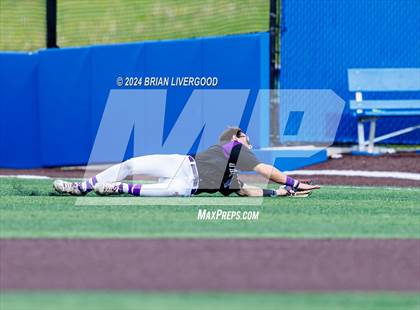 Thumbnail 2 in Holy Family vs. Falcon (CHSAA 4A Semifinal) photogallery.