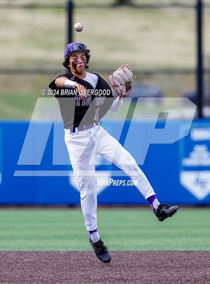 Thumbnail 2 in Holy Family vs. Falcon (CHSAA 4A Semifinal) photogallery.