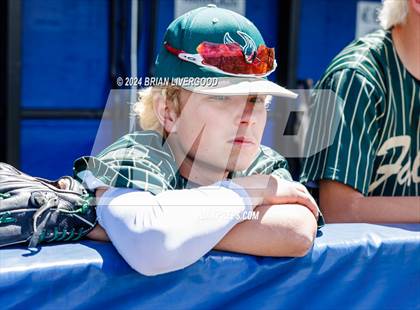 Thumbnail 1 in Holy Family vs. Falcon (CHSAA 4A Semifinal) photogallery.