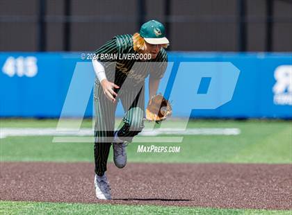 Thumbnail 1 in Holy Family vs. Falcon (CHSAA 4A Semifinal) photogallery.