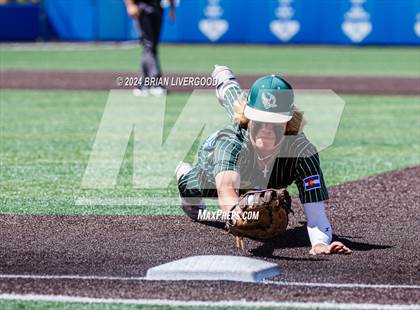 Thumbnail 3 in Holy Family vs. Falcon (CHSAA 4A Semifinal) photogallery.