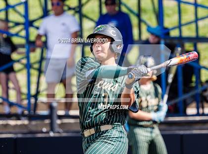 Thumbnail 3 in Holy Family vs. Falcon (CHSAA 4A Semifinal) photogallery.