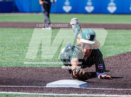 Thumbnail 1 in Holy Family vs. Falcon (CHSAA 4A Semifinal) photogallery.