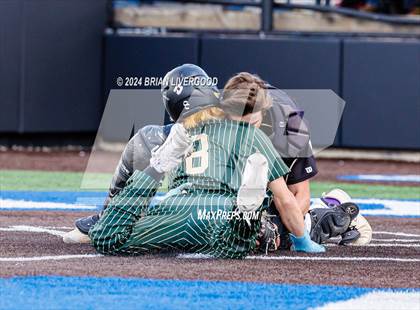 Thumbnail 2 in Holy Family vs. Falcon (CHSAA 4A Semifinal) photogallery.