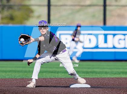 Thumbnail 1 in Holy Family vs. Falcon (CHSAA 4A Semifinal) photogallery.