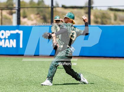 Thumbnail 2 in Holy Family vs. Falcon (CHSAA 4A Semifinal) photogallery.