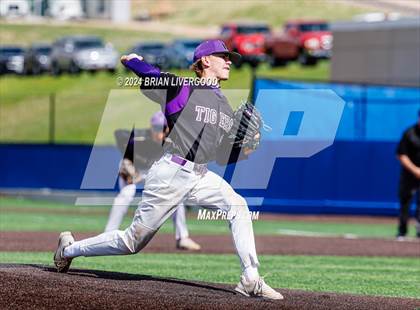 Thumbnail 1 in Holy Family vs. Falcon (CHSAA 4A Semifinal) photogallery.