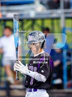 Photo from the gallery "Holy Family vs. Falcon (CHSAA 4A Semifinal)"