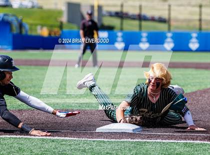 Thumbnail 1 in Holy Family vs. Falcon (CHSAA 4A Semifinal) photogallery.