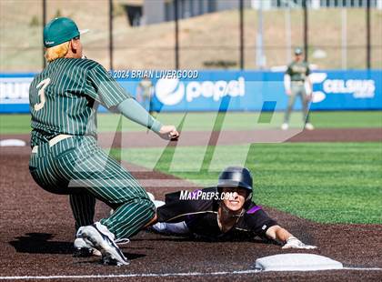 Thumbnail 1 in Holy Family vs. Falcon (CHSAA 4A Semifinal) photogallery.
