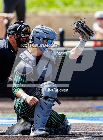 Thumbnail 1 in Holy Family vs. Falcon (CHSAA 4A Semifinal) photogallery.