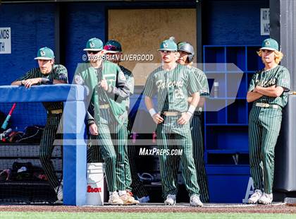 Thumbnail 3 in Holy Family vs. Falcon (CHSAA 4A Semifinal) photogallery.