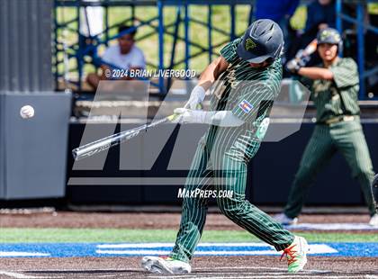 Thumbnail 3 in Holy Family vs. Falcon (CHSAA 4A Semifinal) photogallery.