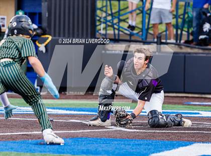 Thumbnail 2 in Holy Family vs. Falcon (CHSAA 4A Semifinal) photogallery.