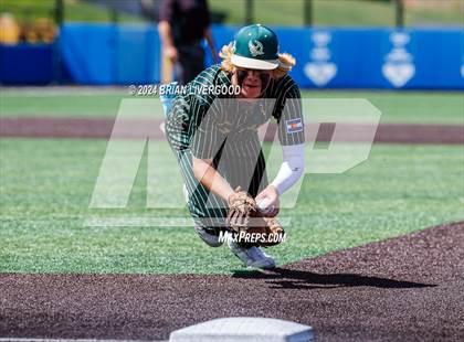 Thumbnail 2 in Holy Family vs. Falcon (CHSAA 4A Semifinal) photogallery.